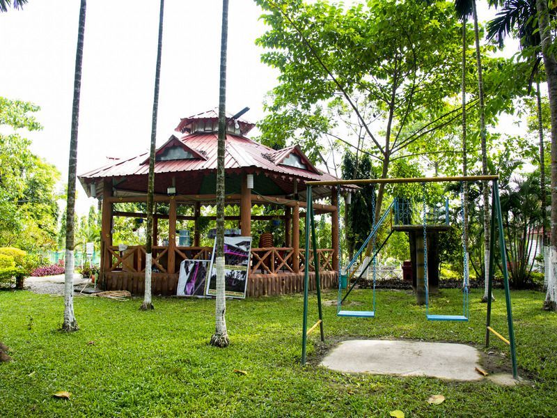 Ayush's Jungle Resort