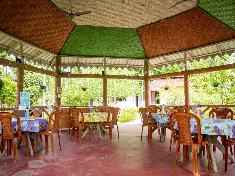 Ayush's Jungle Resort