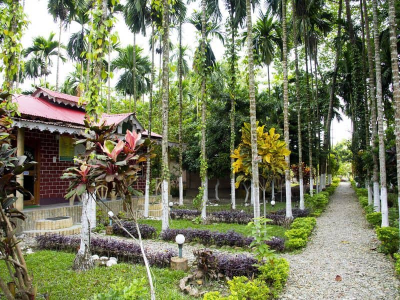 Ayush's Jungle Resort