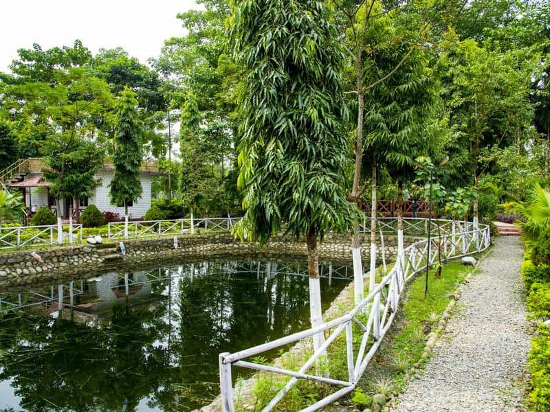 Ayush's Jungle Resort