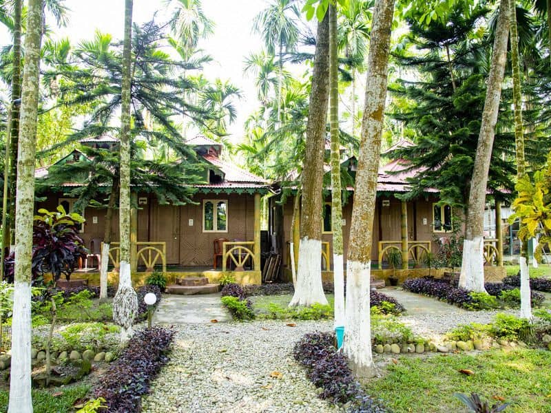 Ayush's Jungle Resort