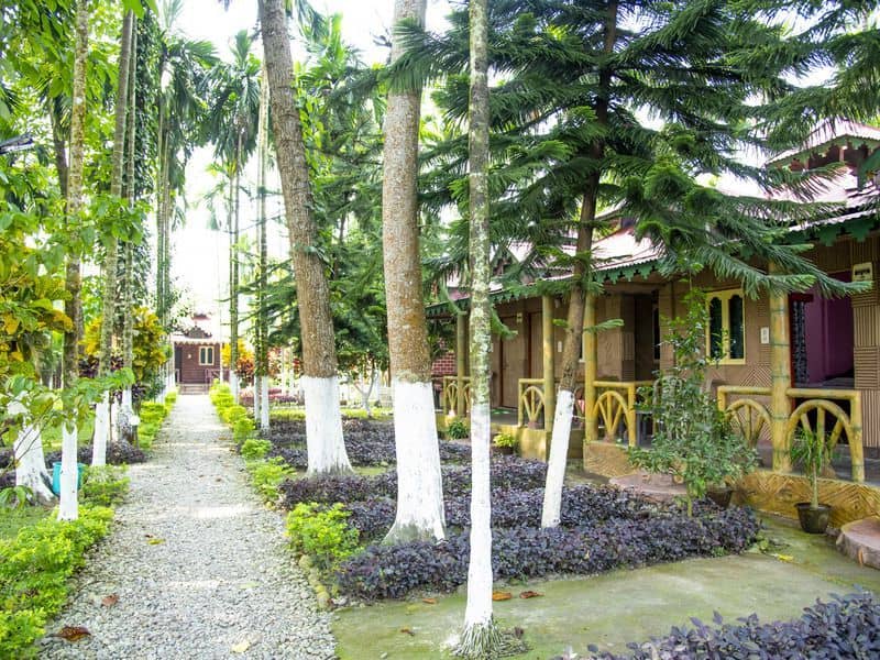 Ayush's Jungle Resort