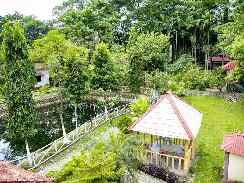 Ayush's Jungle Resort